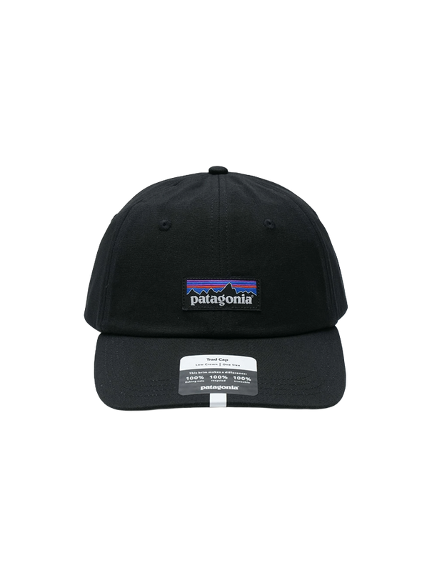 Patagonia Кепка P-6 Label Trad