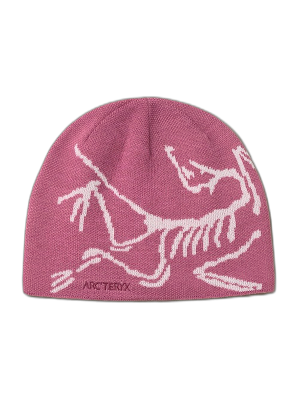 Arcteryx Шапка Arc'teryx Bird Head